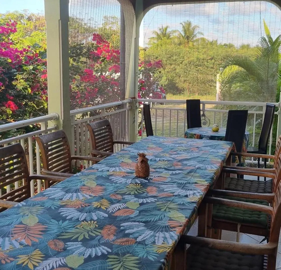 Villa antillaise de charme de 3 chambres et deux cabanes aménagées Sainte-Anne